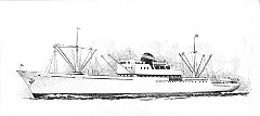 1953 - Franceschina Fassio